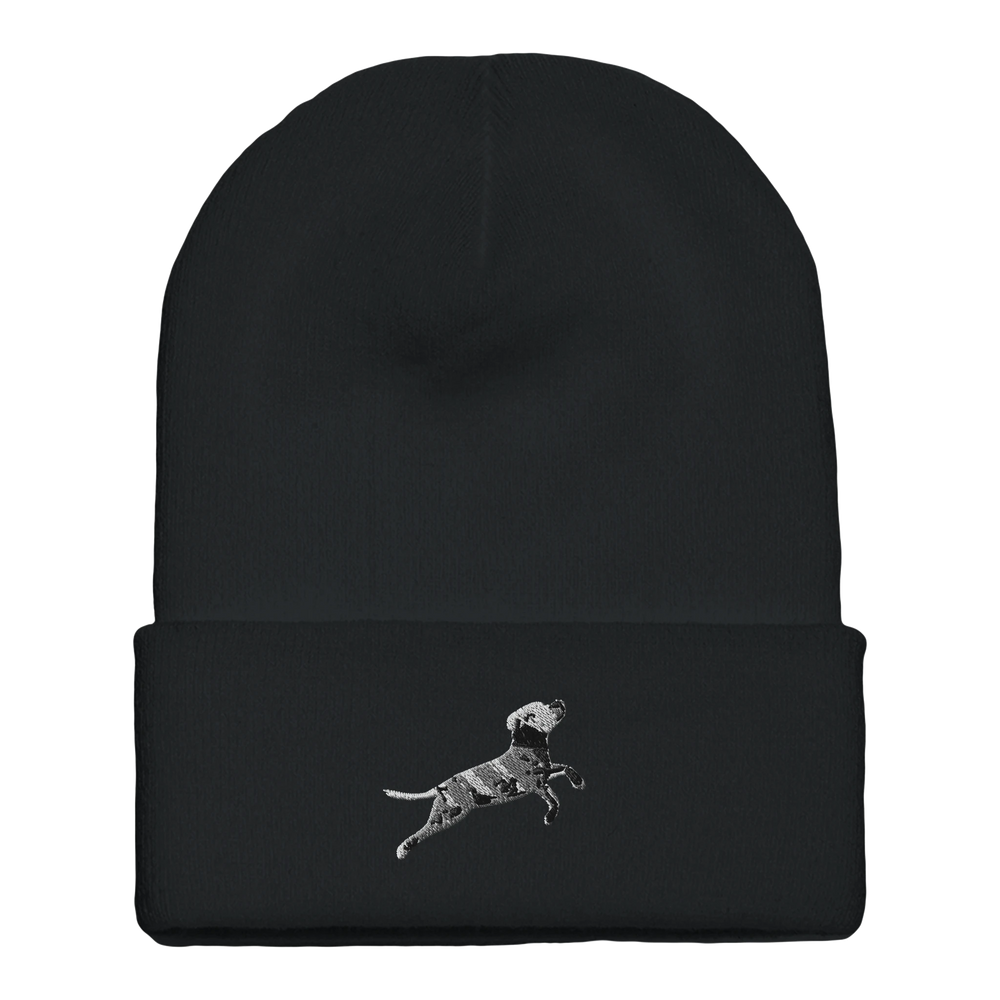 85ecb809-9b79-418f-aec3-12df15ba06c9