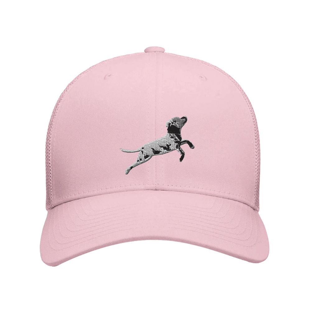 eca3737e-046f-46f6-9fd3-d138d6c16ec4