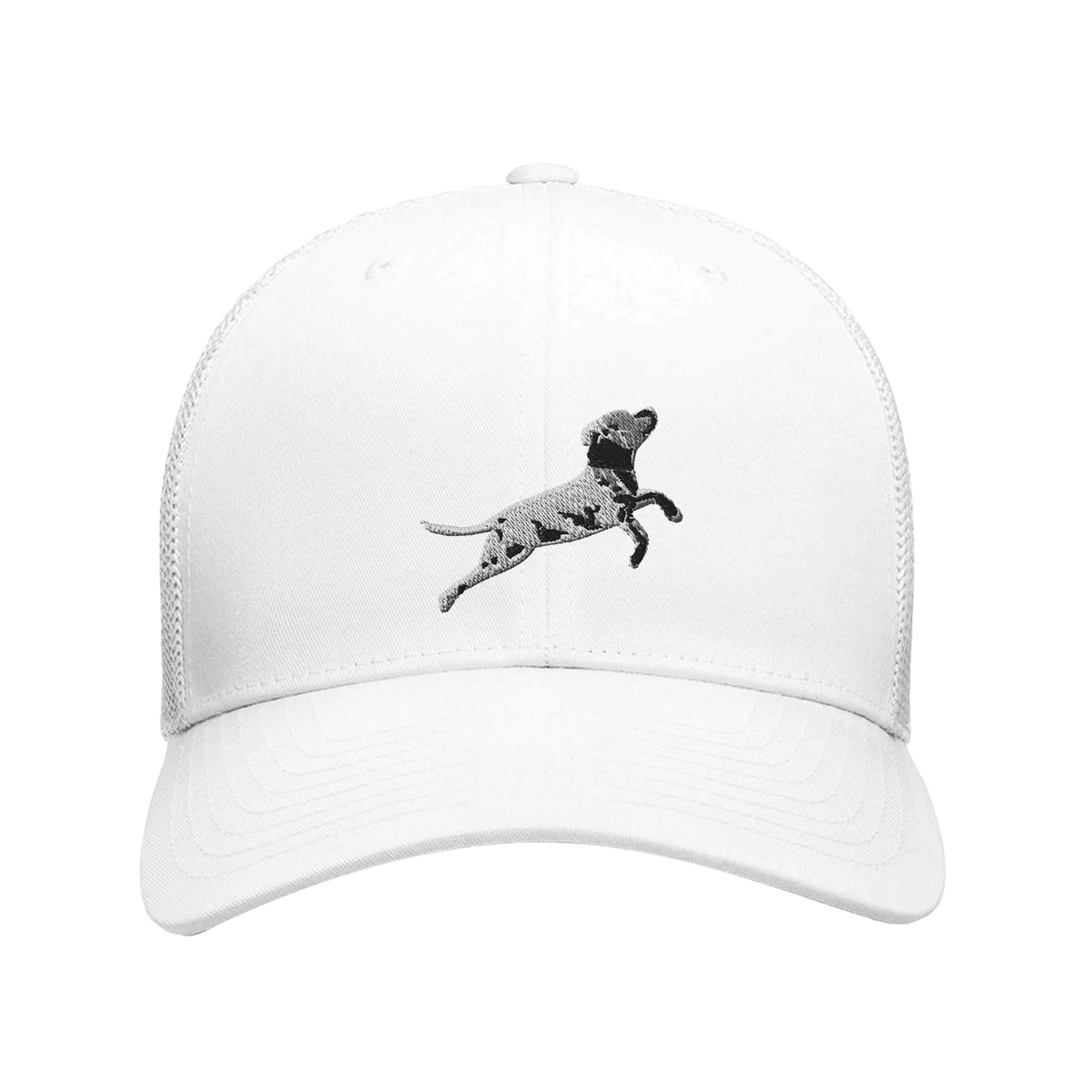 f6c398e8-22fd-484a-bb2f-949ee5f8fdc9